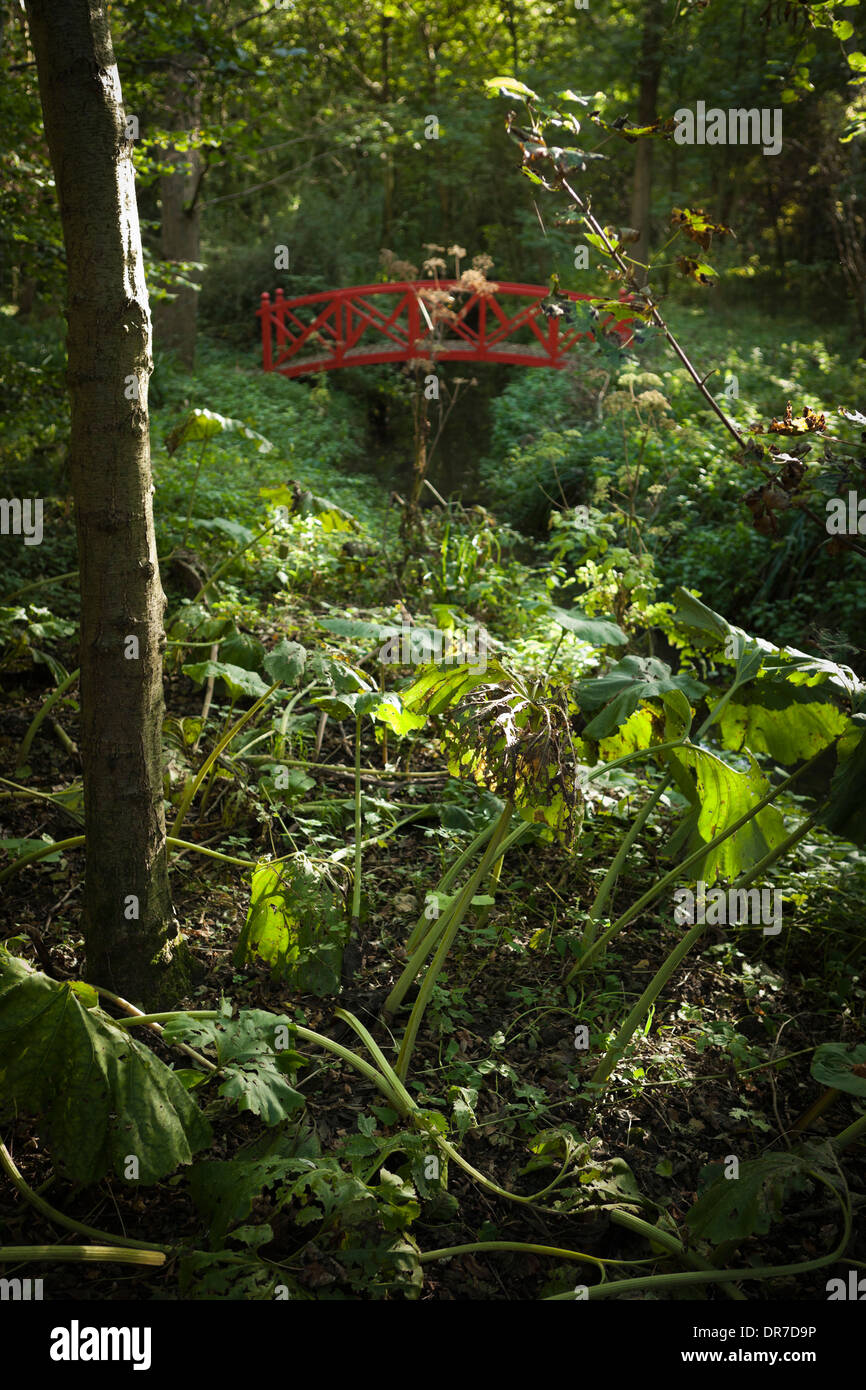 Jardin japonais influencé avec plantation dense et pont rouge, Spencers Banque D'Images