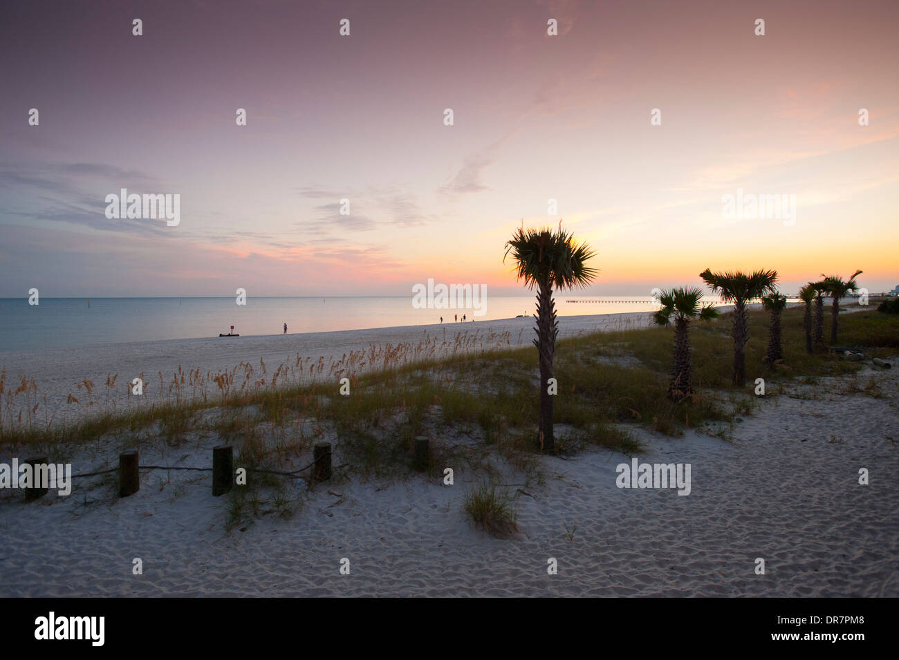 USA Mississippi Biloxi MS Gulf Coast Beach au coucher du soleil avec des palmiers Banque D'Images