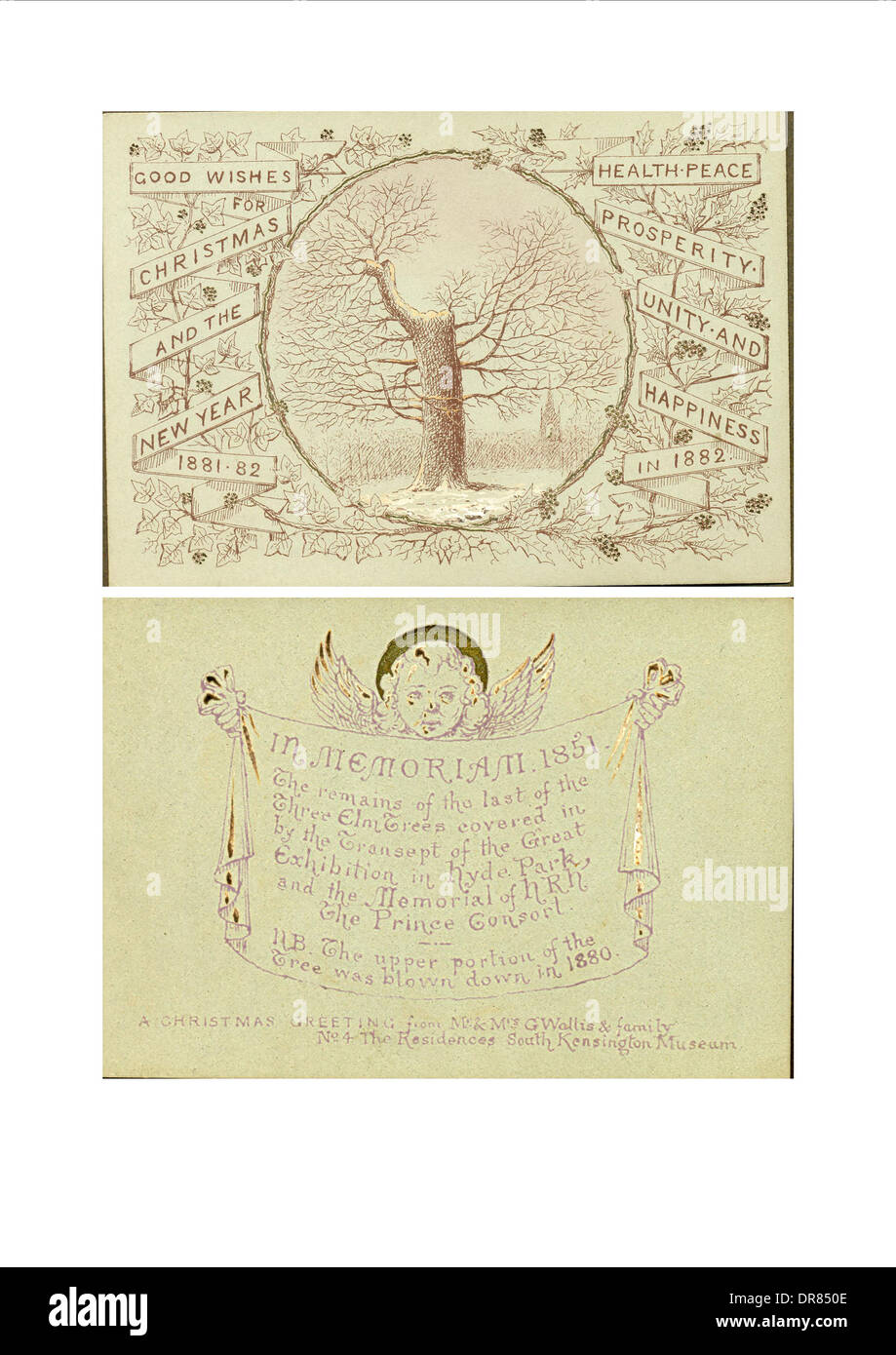 Carte de vœux de Noël commémorant trois ormes couverts par le transept de la grande exposition en 1851 Banque D'Images