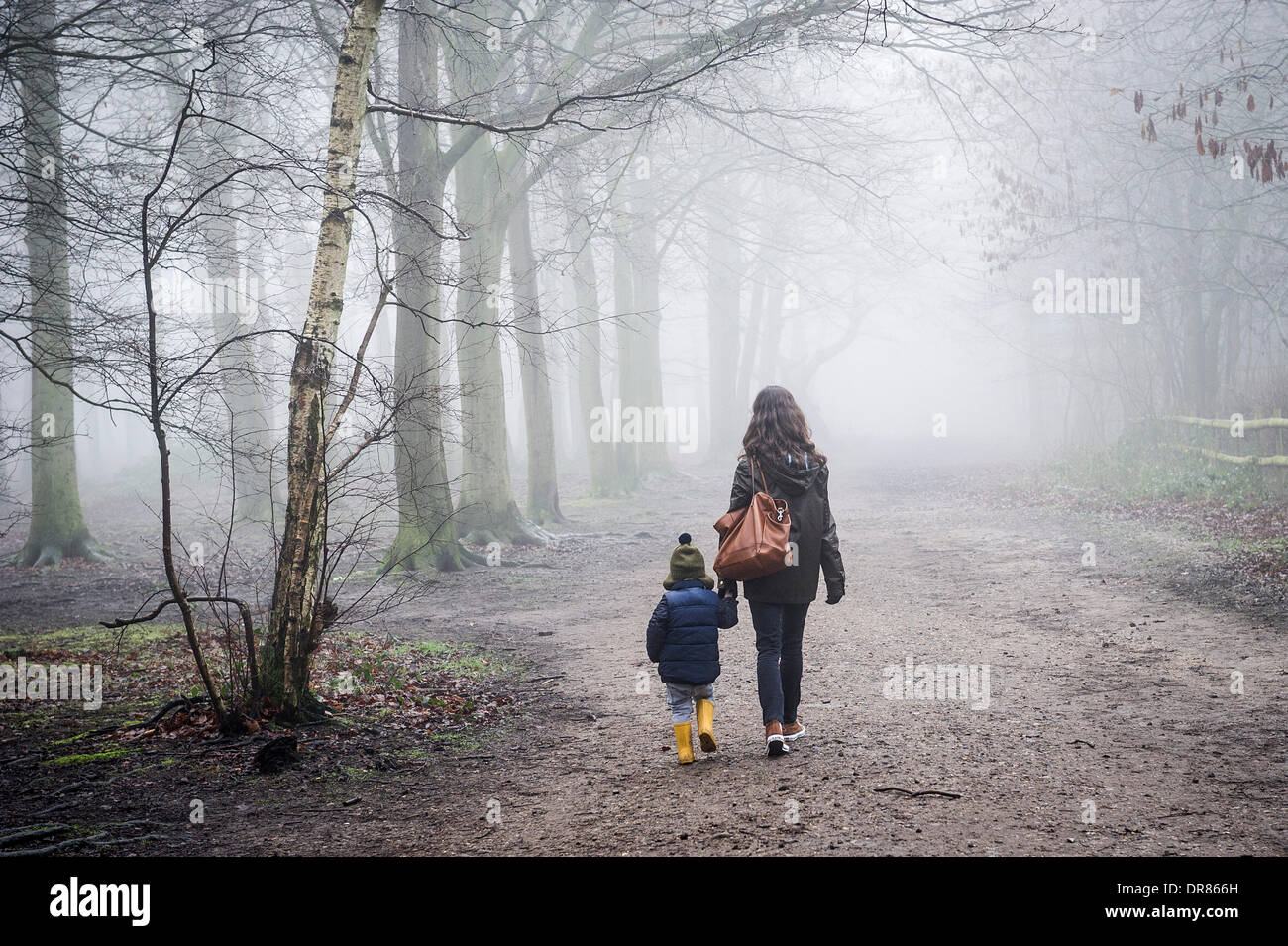 Brentwood, Essex, Royaume-Uni. 21 janvier 2014 Une mère et son enfant brave l'épais brouillard et gel comme ils faire une promenade dans la campagne de l'Essex. Photographe : Gordon 1928/Alamy Live News Banque D'Images