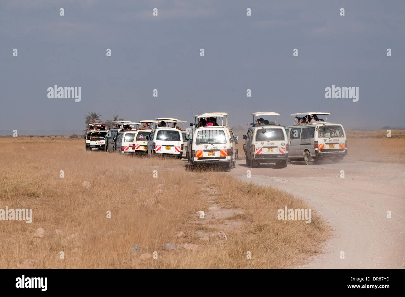 Foule de touristes 12 minibus blanc avec observation de la faune dans le Parc national Amboseli Kenya Afrique de l'Est Banque D'Images