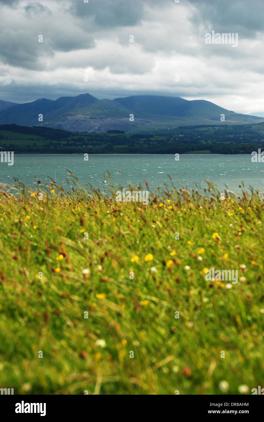 Vue de la gamme de montagne Snowdon dans le détroit de Menai, avec au premier plan d'Anglesey Banque D'Images