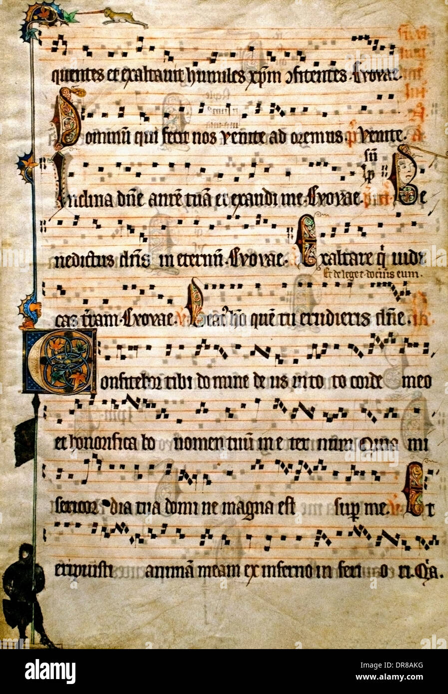 Feuille d'un antiphonaire Flandre ( Belgique Bruges ou Gand) 1310-1320 Feria 6 par an Banque D'Images