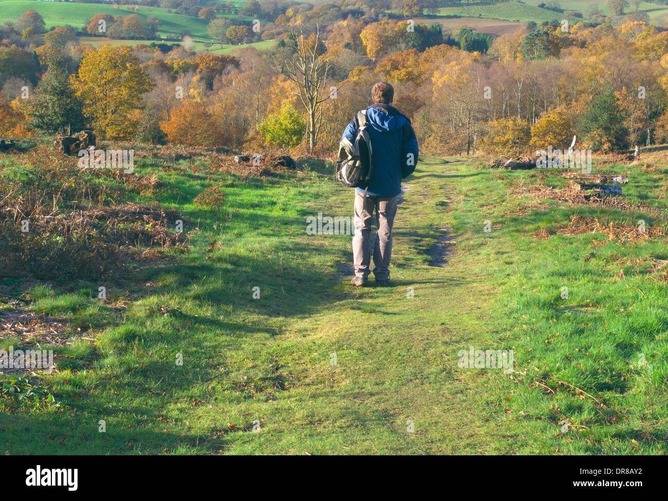 40 ans caucasien homme marchant au parc forestier de Kingsford, Worcestershire, Angleterre, Royaume-Uni PARUTION MODÈLE Banque D'Images