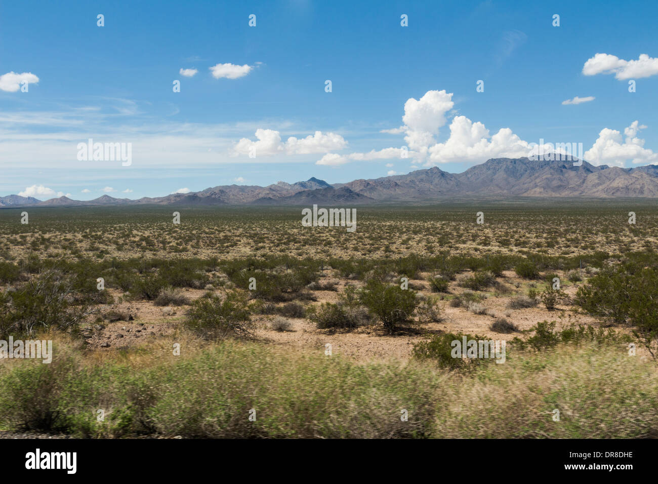 Désert de Mojave, Californie Banque D'Images