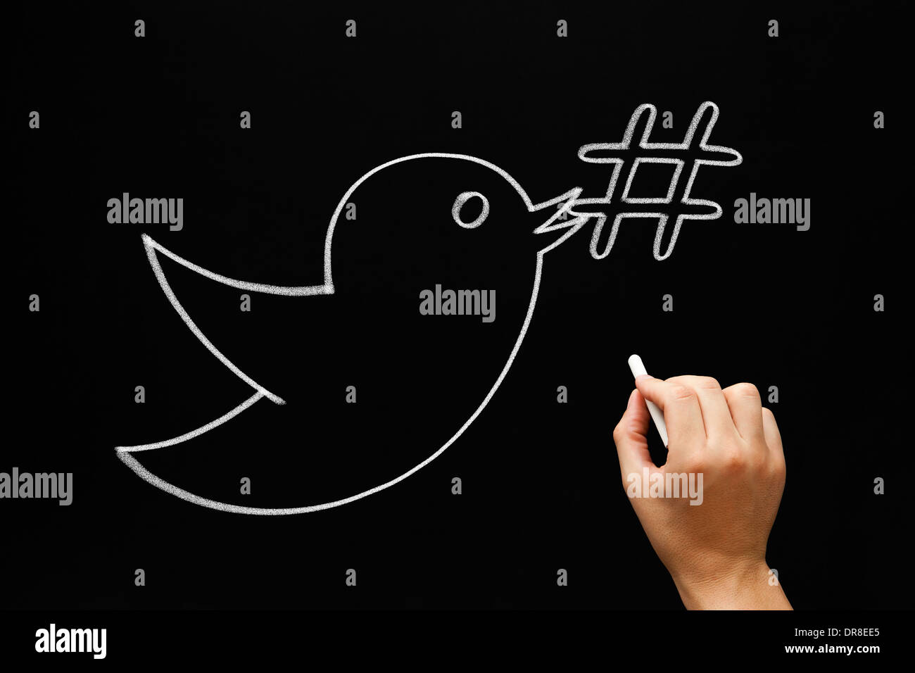 Croquis à main tenant un oiseau symbole hashtag dans son bec avec craie blanche sur un tableau noir. Banque D'Images