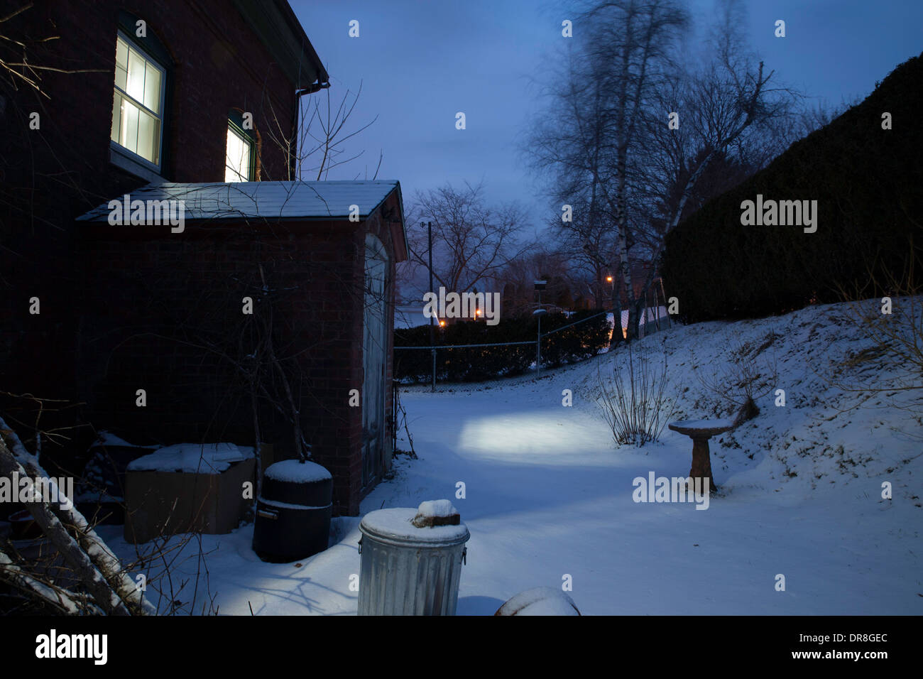 Jardin enneigé en hiver au crépuscule. Banque D'Images