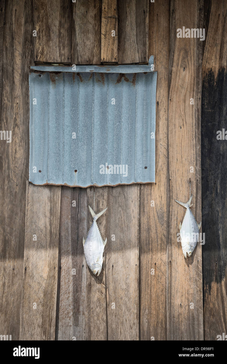 Séchage de poisson pêcheur extérieur vieille maison de bois dans la région de koh rong au Cambodge Banque D'Images