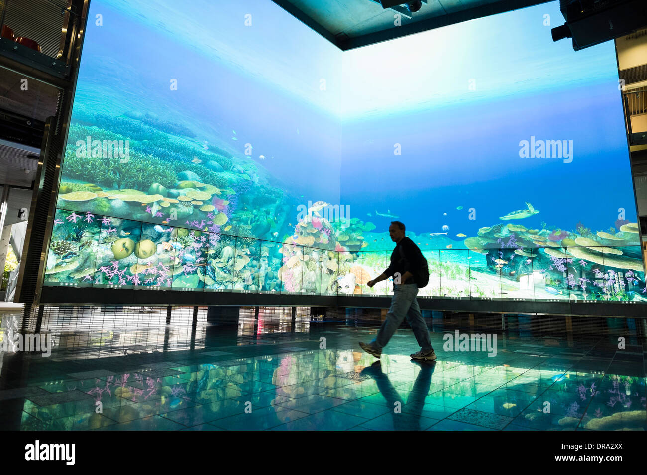 Grand écran multimédia virtuelle montrant le Cube récif à center à l'Université de technologie du Queensland à Brisbane en Australie QUT Banque D'Images