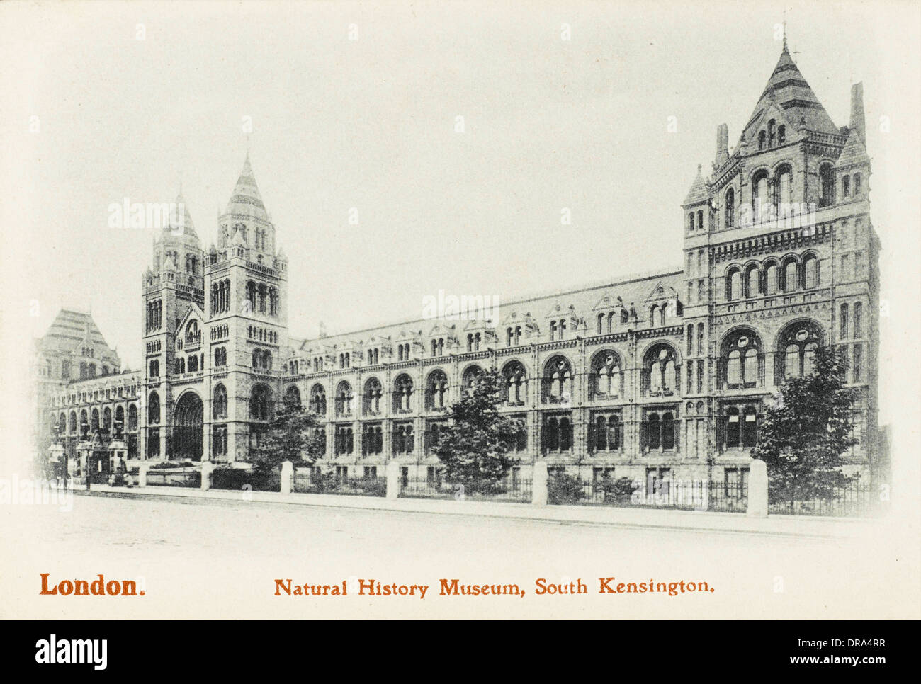 Natural History Museum, South Kensington, Londres Banque D'Images