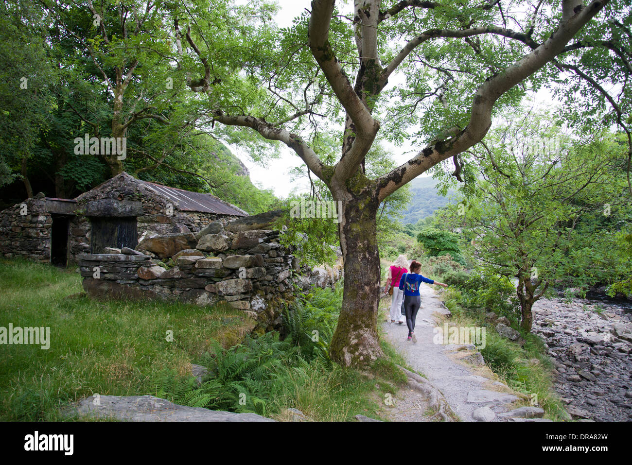La marche, les randonneurs, randonnées, sentier sinueux, arbres, grands espaces, congé, vacances, été, Banque D'Images