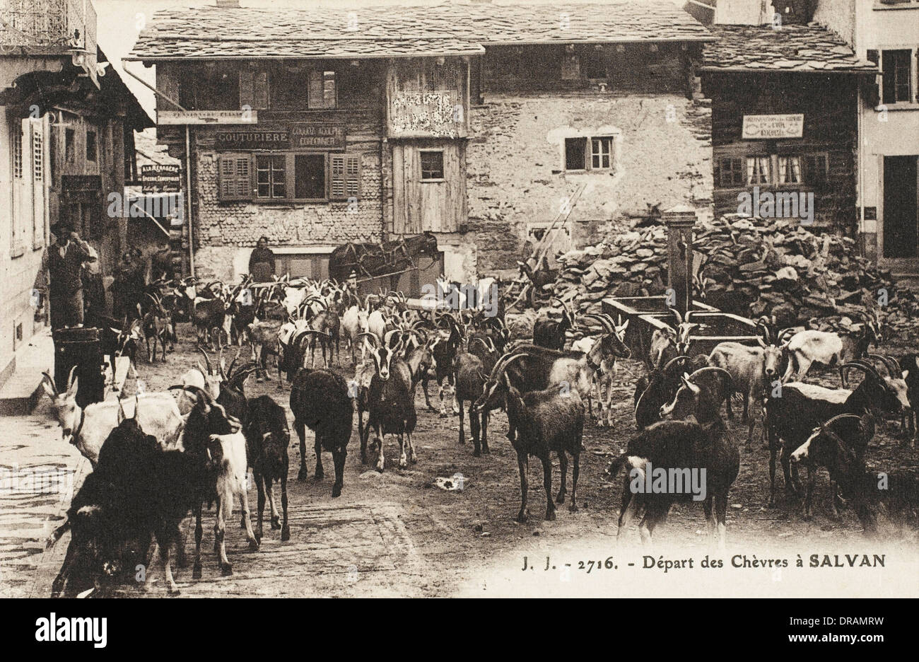 Le départ d'un troupeau de chèvres de Salvan, Suisse Banque D'Images