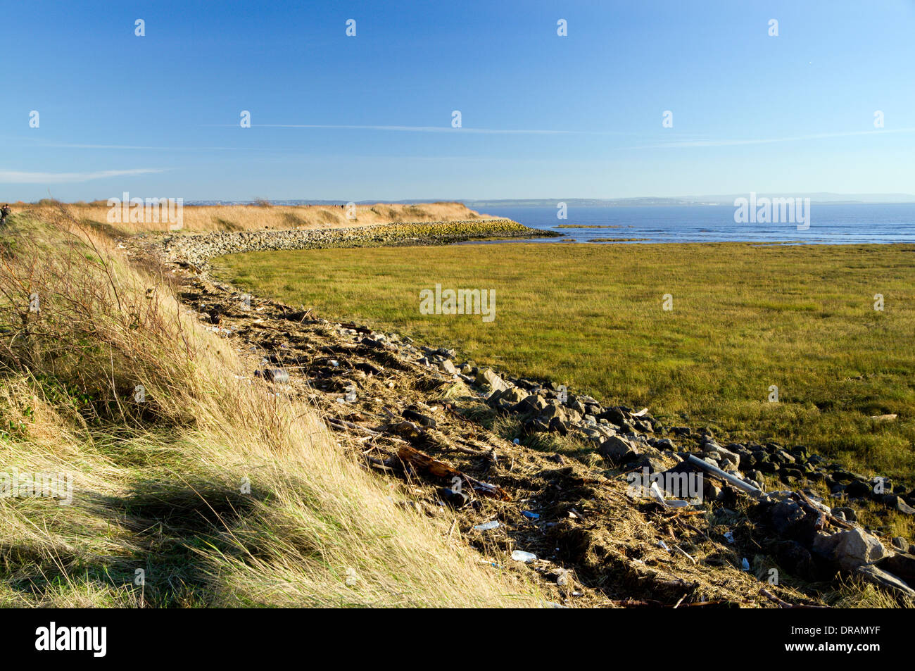 Newport Gwent, zones humides, Newport, Pays de Galles. Banque D'Images