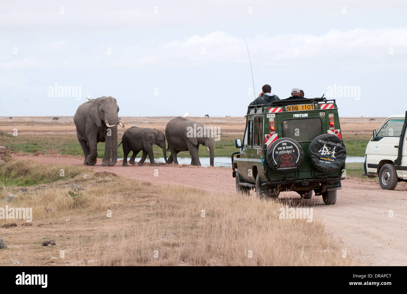 Elephant family walking down road vers Toyota Landcruiser dans le Parc national Amboseli Kenya Afrique de l'Est Banque D'Images