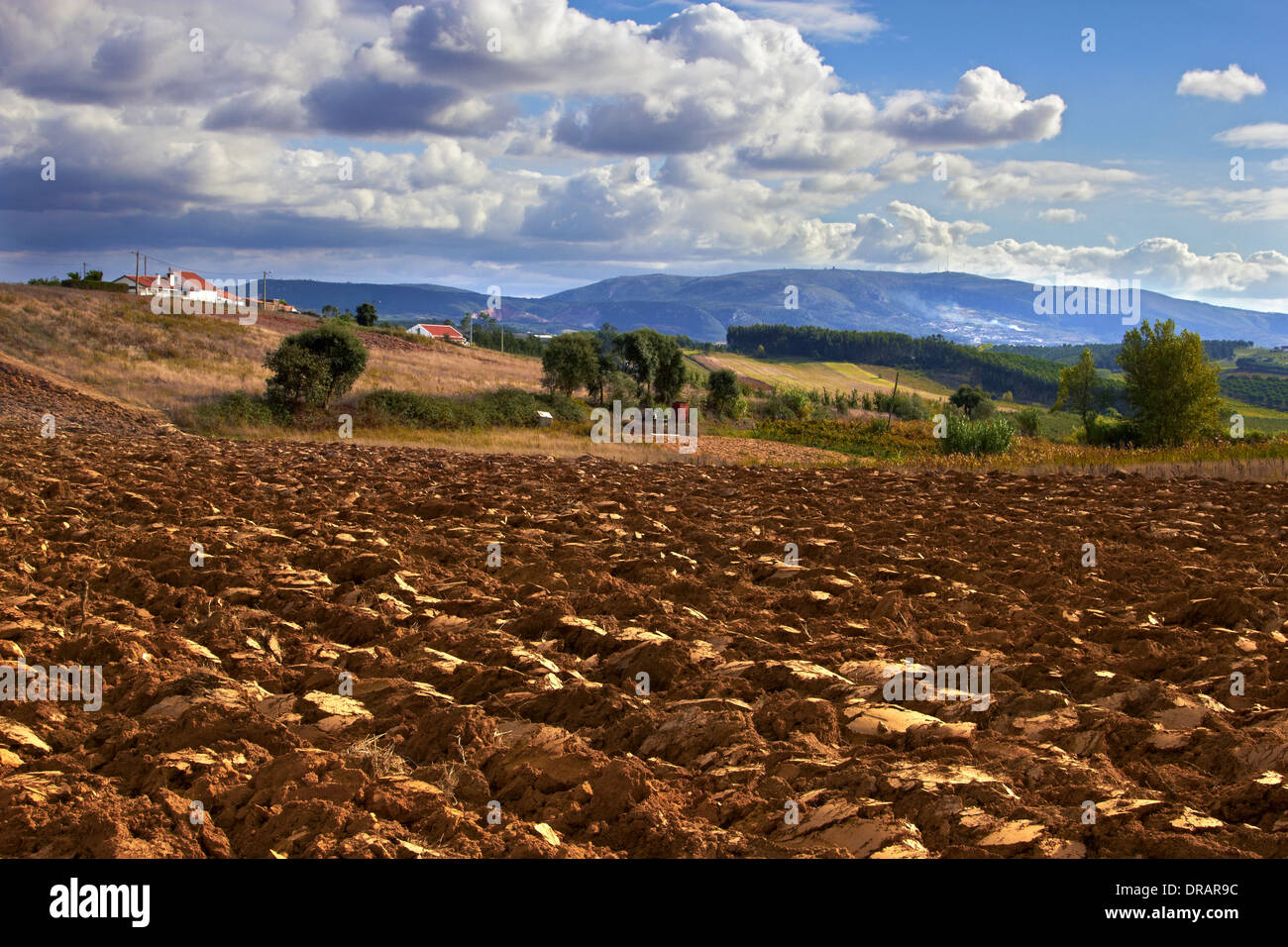 Terres agricoles labourées à Rio Maior, western portugal Banque D'Images