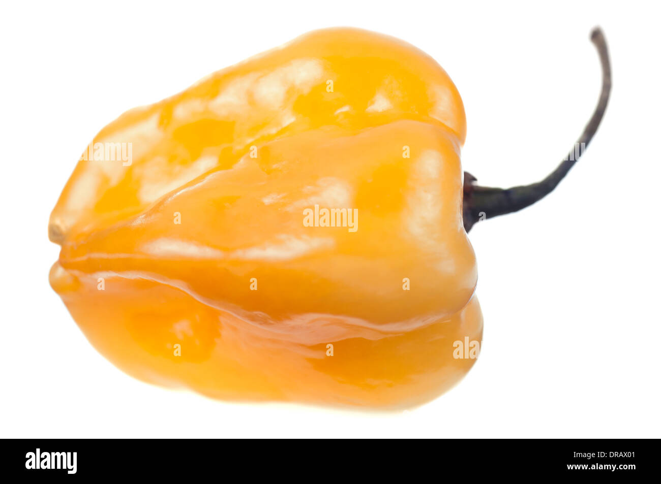 Piment habanero Banque D'Images