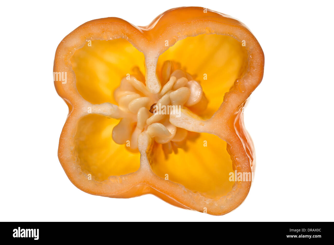 Piment habanero Banque D'Images