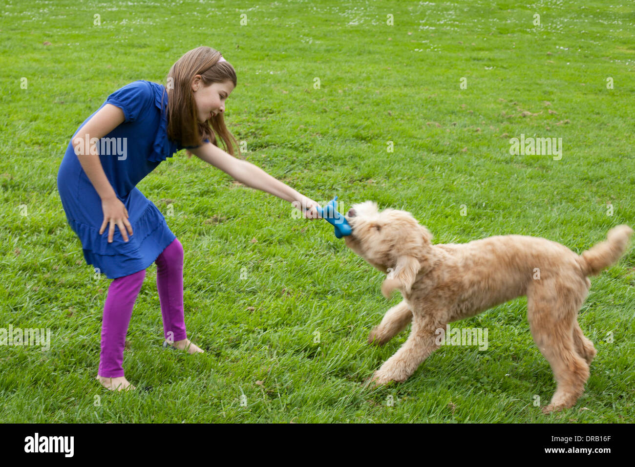 Fille jouant avec le chien sur l'herbe Banque D'Images