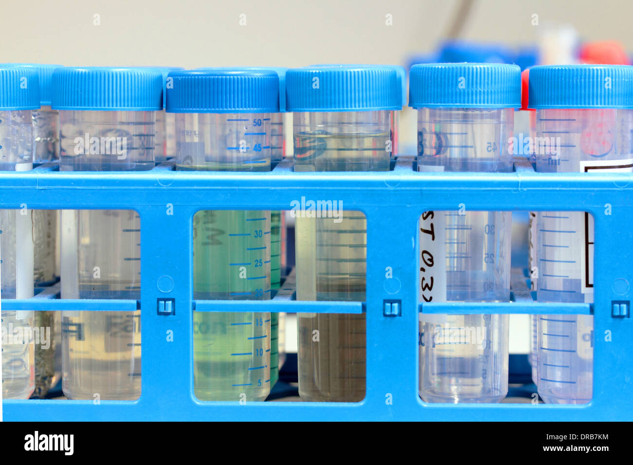 Tubes en plastique avec des liquides dans un rack dans un laboratoire de recherche Banque D'Images