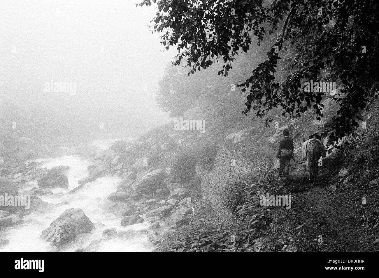 Chemin le long de la rivière Pushpawati poney Vallée des Fleurs Garhwal Uttarakhand en Inde Asie 1978 Banque D'Images