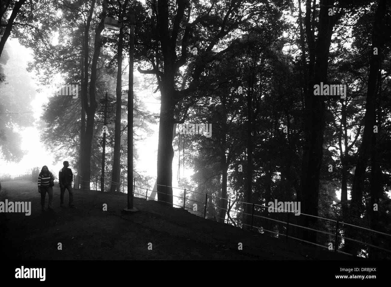 Couple en train de marcher en chemin forestier, Darjeeling, West Bengal, India 2011 Banque D'Images