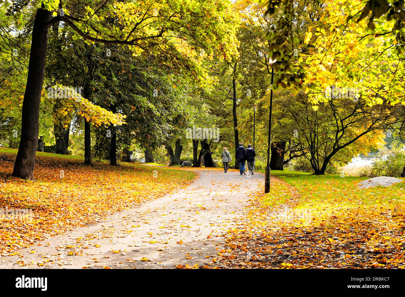 Beauté de l’automne Banque D'Images