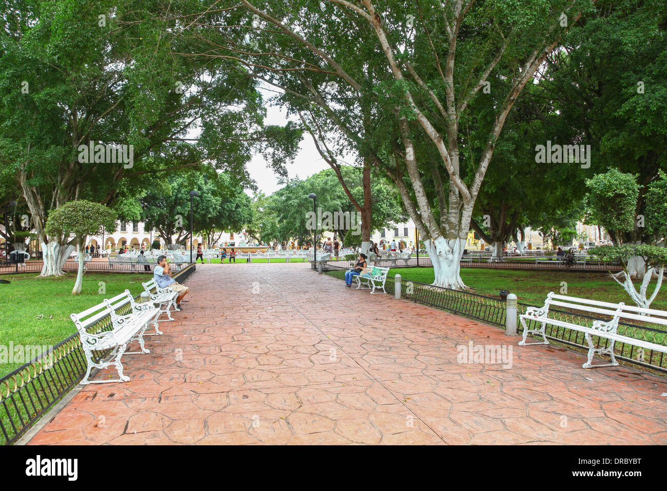 Les gens se détendre sur les bancs de la place principale et le parc dans le centre de Valladolid au Mexique Banque D'Images
