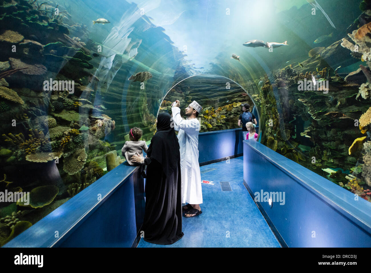 Aquarium de Sharjah, Emirats Arabes Unis Banque D'Images