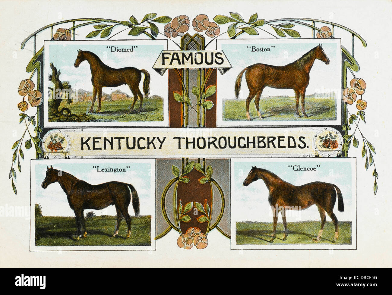 Quatre célèbre pur-sang du Kentucky Banque D'Images