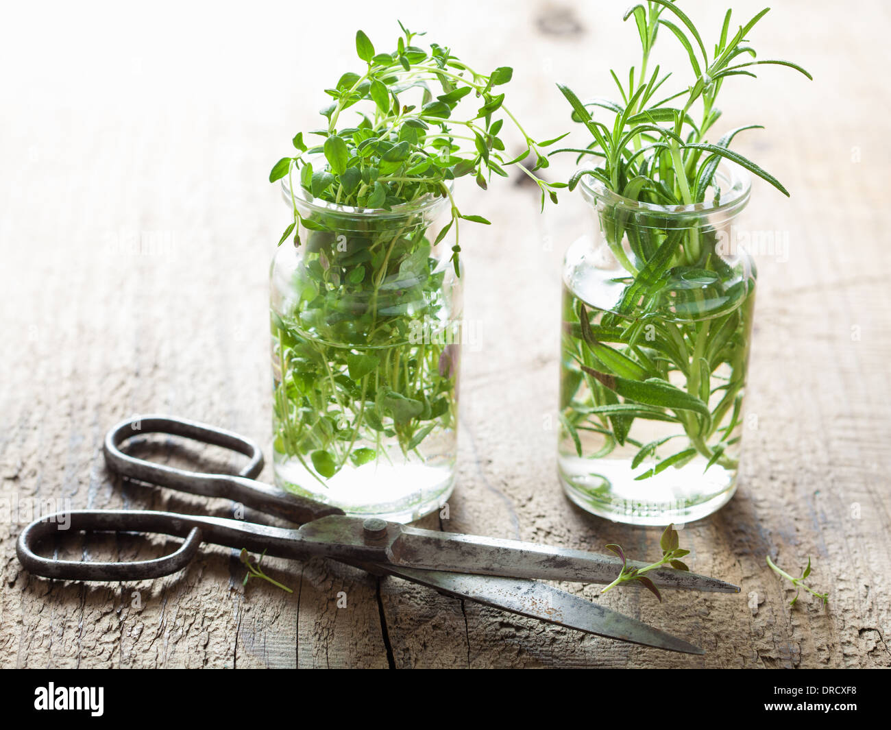 De thym et romarin herbes dans du verre Banque D'Images