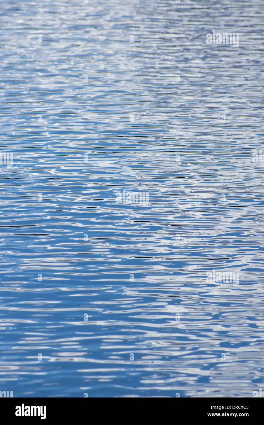 Ondulations sur la surface bleue de l'eau Banque D'Images