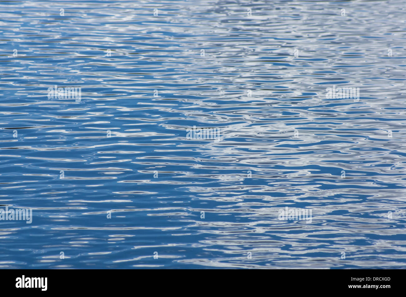 Ondulations sur la surface bleue de l'eau Banque D'Images
