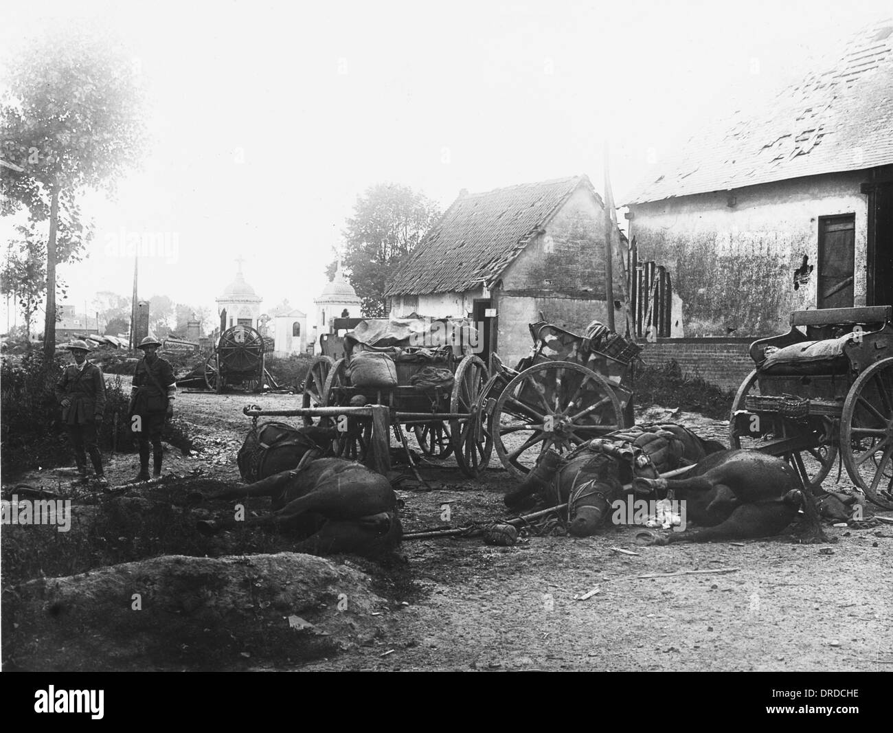 Transport de chevaux allemands WWI Banque D'Images