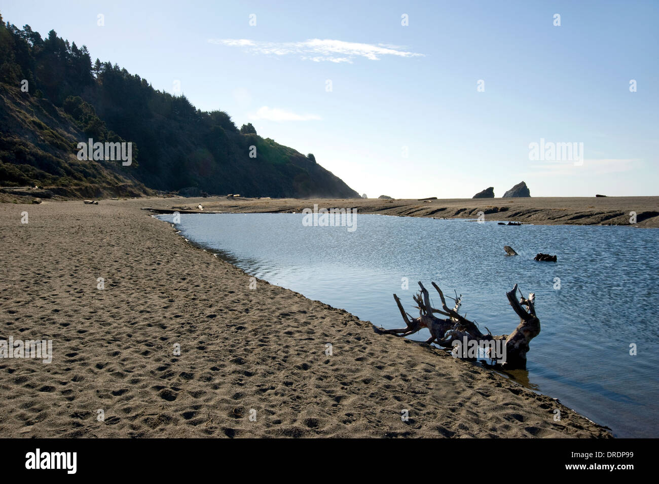 Navarro River Beach dans le comté de Mendocino, en Californie Banque D'Images