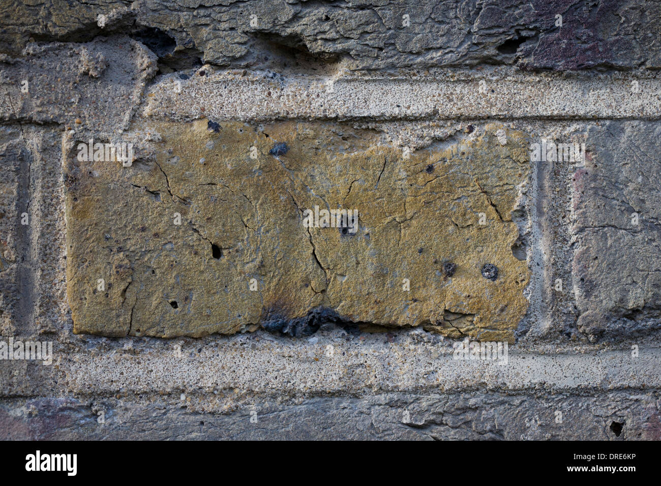 Detailof Londres jaune stock brique posée en jardin anglais Bond sur une maison édouardienne du sud de Londres. Banque D'Images