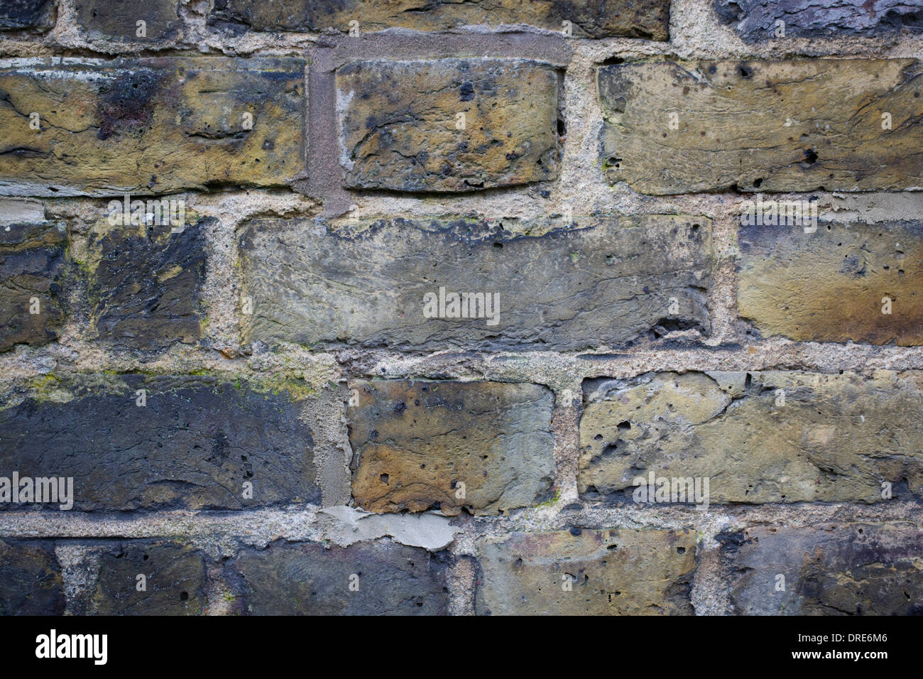 Detailof Londres jaune stock brique posée en jardin anglais Bond sur une maison édouardienne du sud de Londres. Banque D'Images