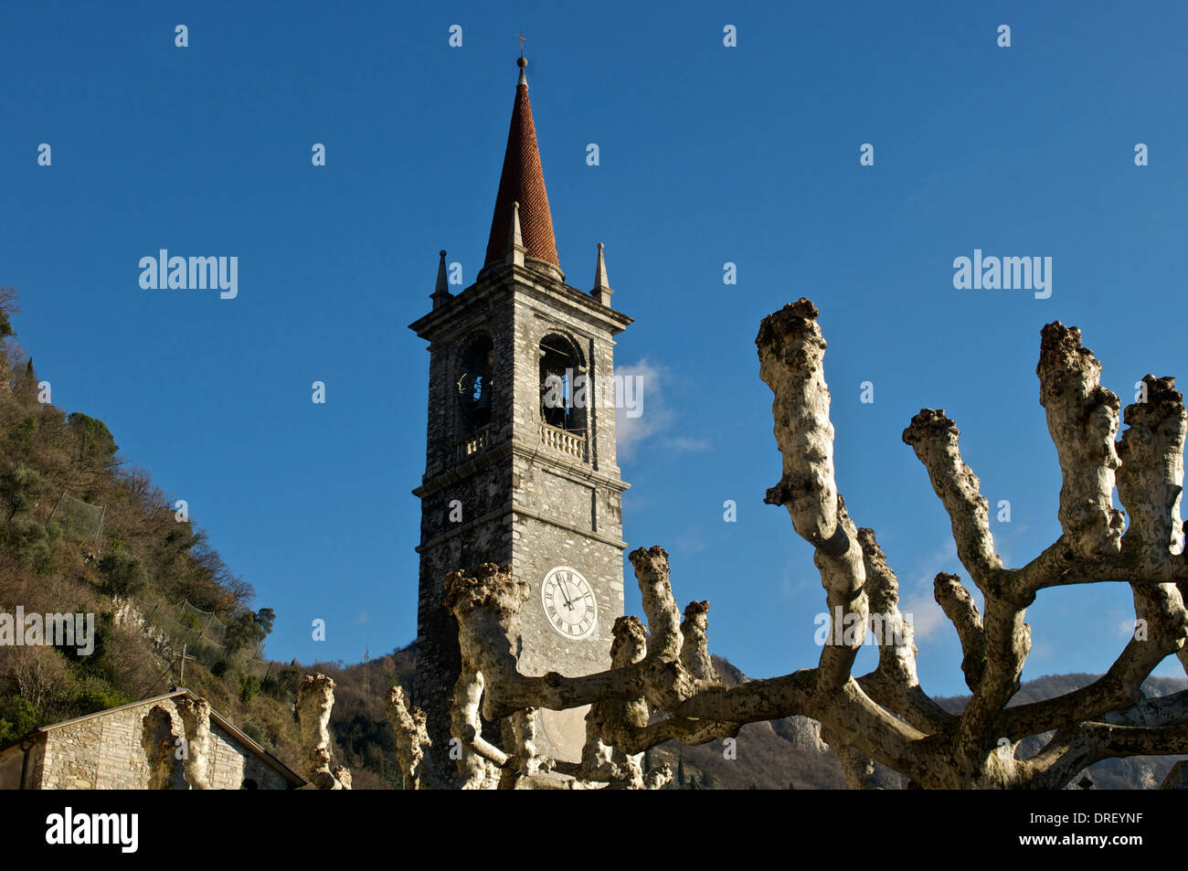 Varenna,église,arbres,Lac de Côme, Italie Banque D'Images