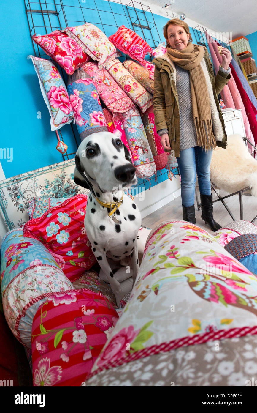 Un chien Dalmatien (Canis lupus familiaris) dans une boutique de décoration d'intérieur. Chien dalmatien dans un magasin de décoration. Banque D'Images