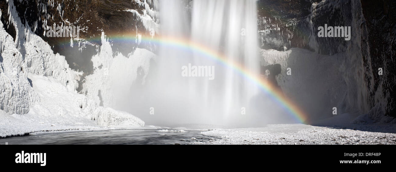 À arc-en-ciel cascade Skogafoss, Islande, région polaire Banque D'Images