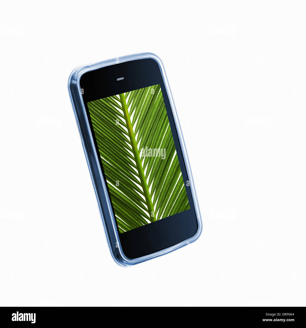 Téléphone avec des feuilles de palmier vert image sur l'écran Banque D'Images