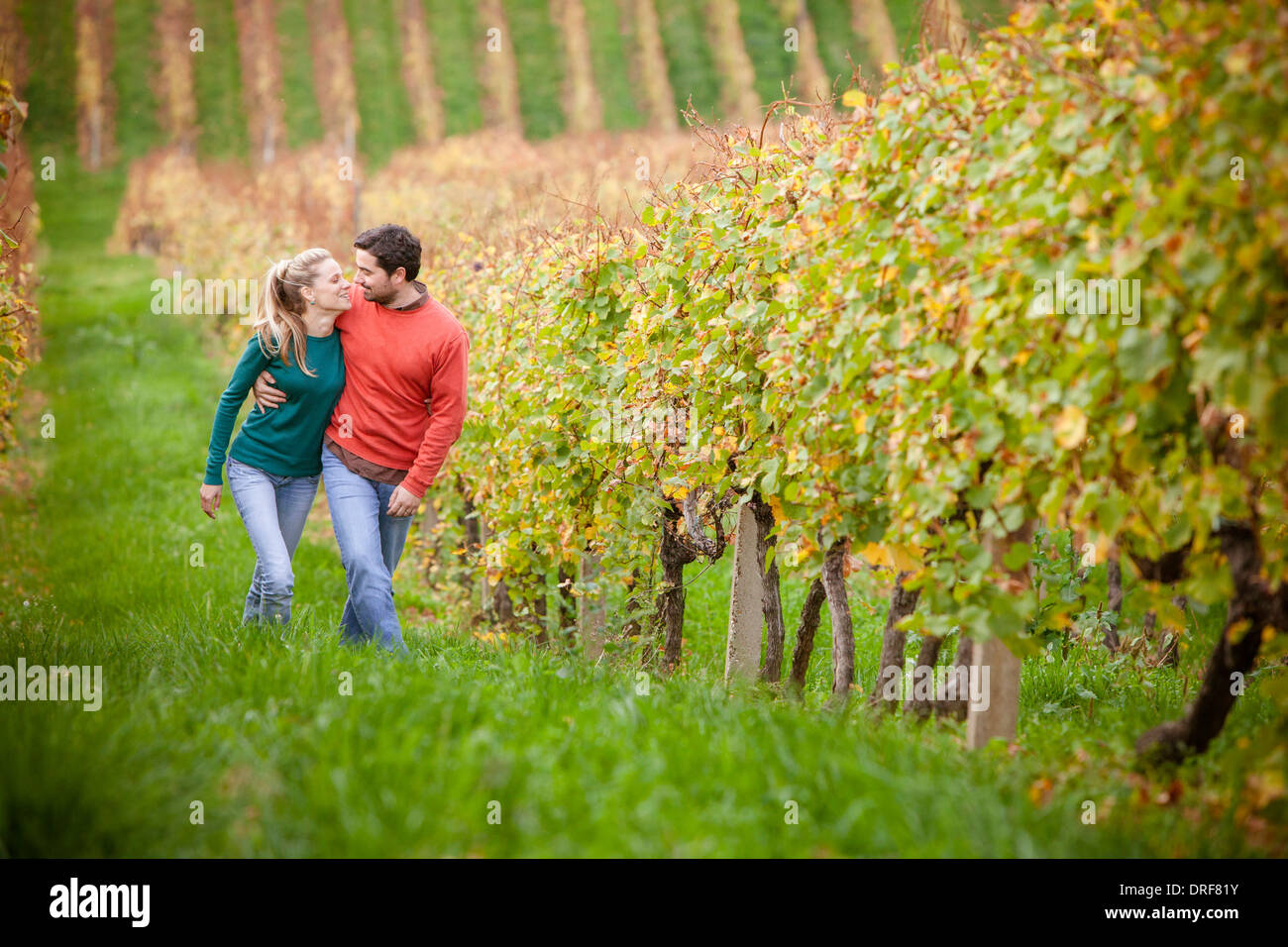 Heureux couple en train de marcher dans un vignoble, Osijek, Croatie Banque D'Images