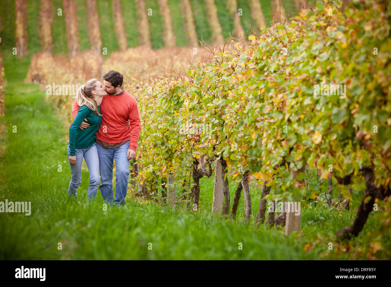 Heureux couple en train de marcher dans un vignoble, Osijek, Croatie Banque D'Images