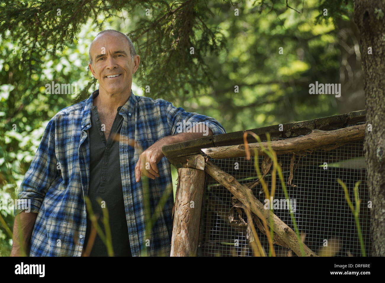 L'état de New York USA ferme biologique traditionnelle man leaning against fence Banque D'Images
