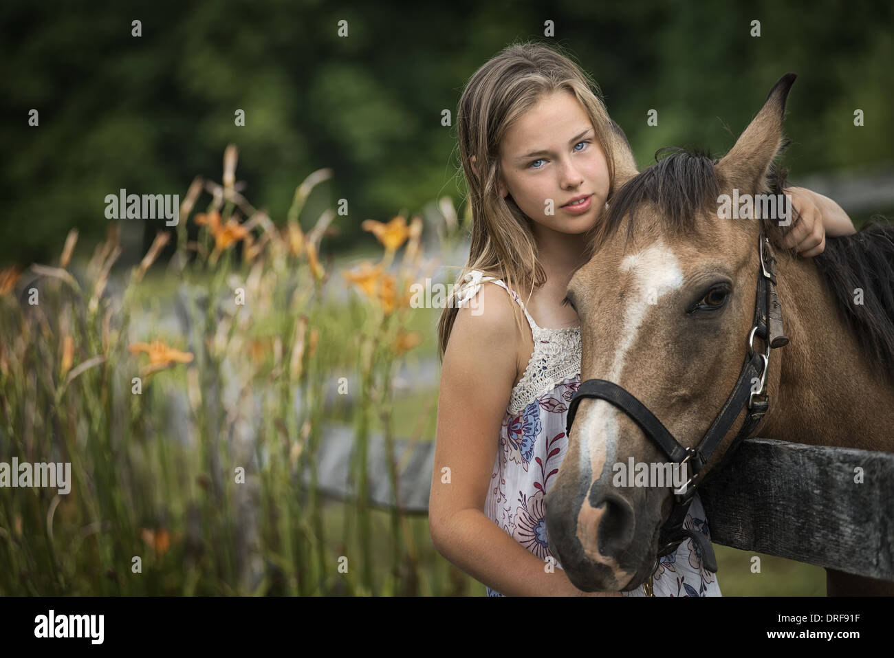 L'état de New York USA girl pony sur petit terrain herbes fleurs sauvages Banque D'Images