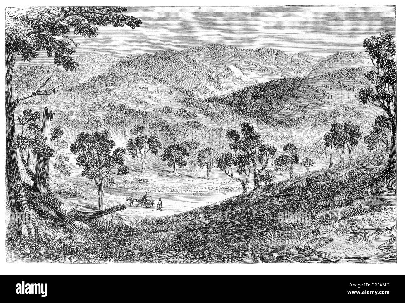 L'Australie Mount Alexander, à partir de la route de Porcupine vers 1854 Banque D'Images