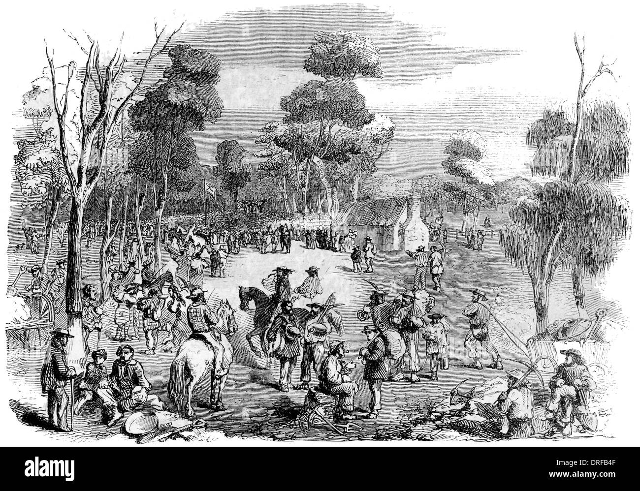 L'Australie. Grande réunion de chercheurs d'or à Mount Alexander, Dec, 15, 1852 Banque D'Images