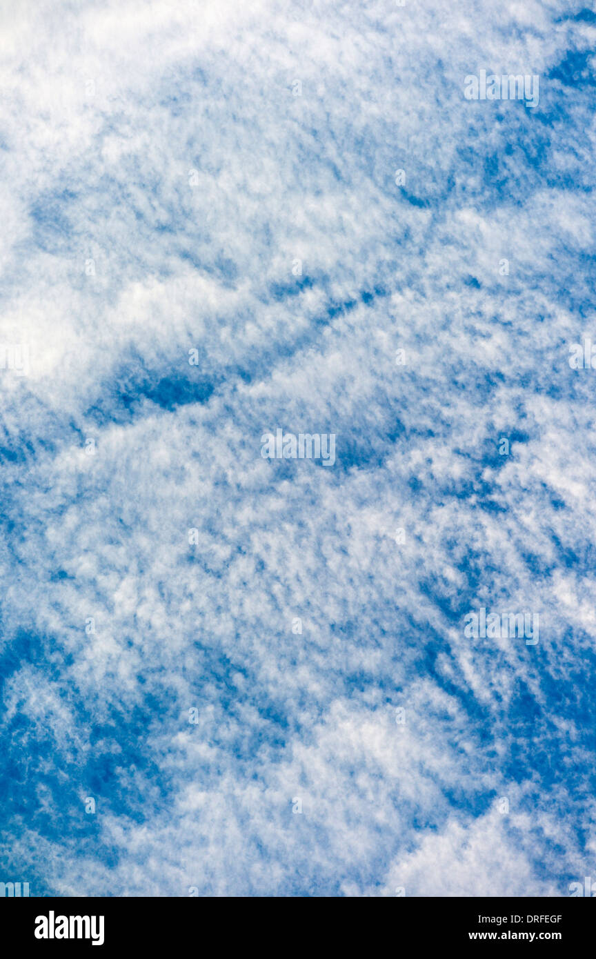 Filandreux nuages blancs sur un ciel azur Colorado Banque D'Images