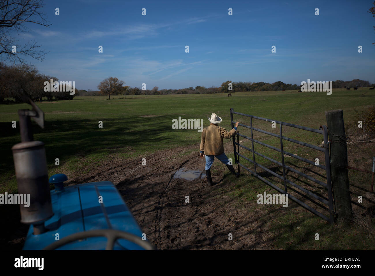 Un éleveur de bétail s'ouvre une porte dans un ranch à Waxahachie, Texas, United States, 29 novembre 2013. Banque D'Images