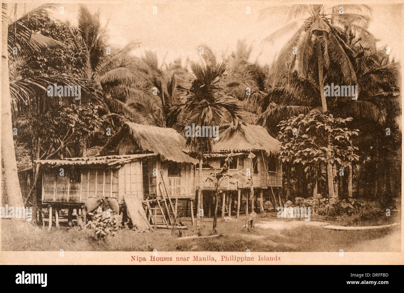 Le Nipa maisons près de Manille, Philippines Banque D'Images