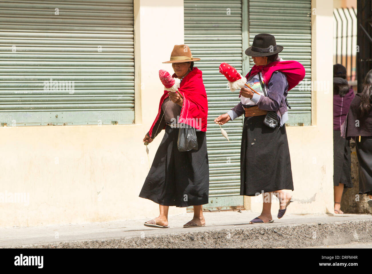 Filature de laine d'Alpaga femme comme leur seconde nature en marchant sur les rues Banque D'Images